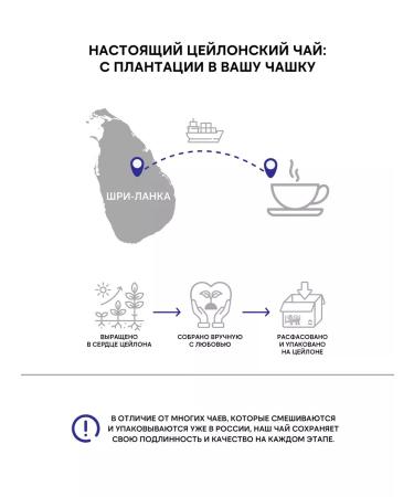 Chelton Black Gift Tea 100 g - Buy Online on GoSupps.com