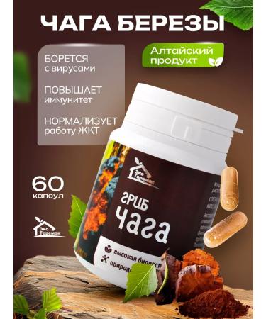 Eco Teremok Chaga Altai 60 cap.