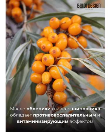 Belor Design Hygienic lipstick sea buckthorn - Buy Online on GoSupps.com