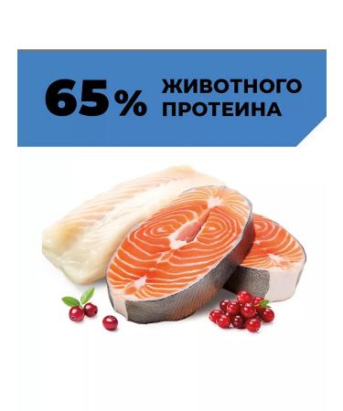 Go Kitchen Cat food 100 g x 12 pcs - Buy Online on GoSupps.com