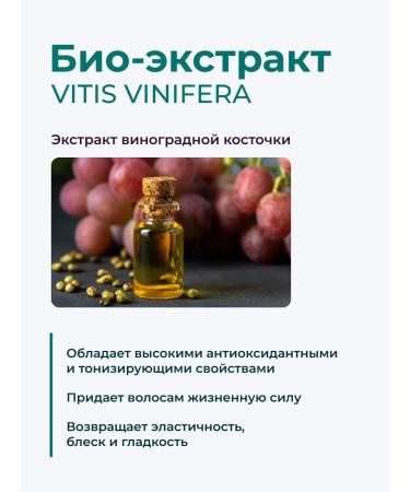 Trend Up Professional ampoules for hair growth - Buy Online on GoSupps.com