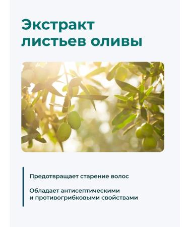 Trend Up Hair restoration shampoo - Buy Online on GoSupps.com