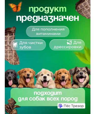 Trezor the Dog Goodies for dogs and cats beef light 100g - Buy Online on GoSupps.com