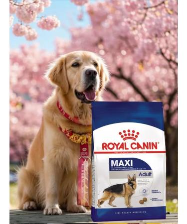 ROYAL CANIN Dry food Maxi Adult for adult dogs of large breeds 3kg - Buy Online on GoSupps.com