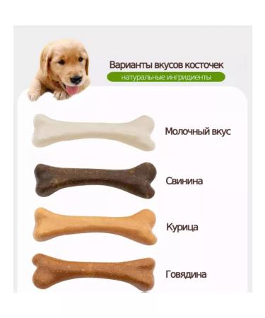 PERMINKS Chewing bones for dogs - Buy Online on GoSupps.com