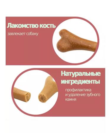 PERMINKS Chewing bones for dogs - Buy Online on GoSupps.com