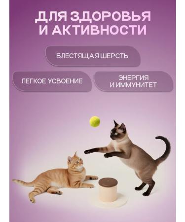 Cosmocat Hypoallergenic food for cats dry 5 kg with fish - Buy Online on GoSupps.com