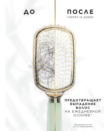 PANTENE Hair care tool awakening roots 100 ml - Buy Online on GoSupps.com