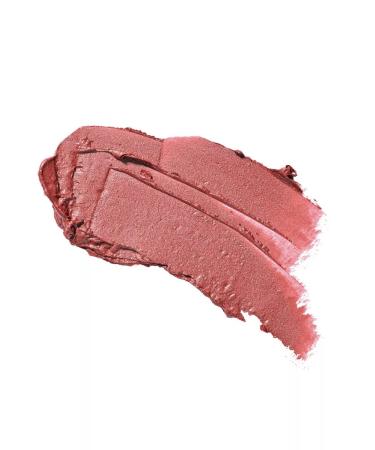 Artdeco Lipstick Perfect Color Lipstick Tone 886 - Buy Online on GoSupps.com