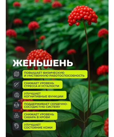 1WIN Amber acid with ginseng and eleutherococcus for immunity - Buy Online on GoSupps.com