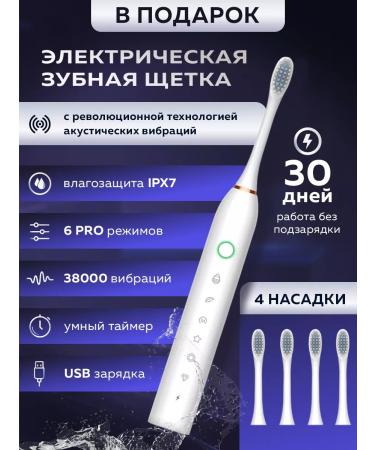 NEW LINE Irrigator for teeth stationary - Buy Online on GoSupps.com