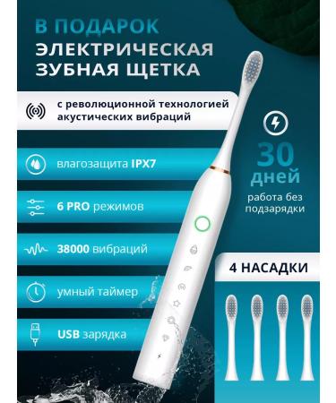 NEW LINE Irrigator for teeth multifunctional - Buy Online on GoSupps.com