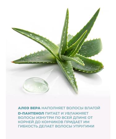 EVI professional Salusfantous shampoo EVI 250 ml - Buy Online on GoSupps.com