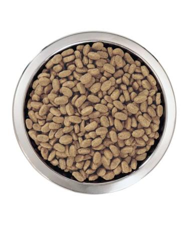 PRO PLAN For medium -sized puppies with feelings. - Buy Online on GoSupps.com