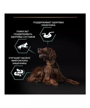 PRO PLAN For dogs of large breeds with feelings. Flowering lamb 14 kg - Buy Online on GoSupps.com