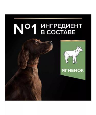 PRO PLAN For dogs of large breeds with feelings. Flowering lamb 14 kg - Buy Online on GoSupps.com