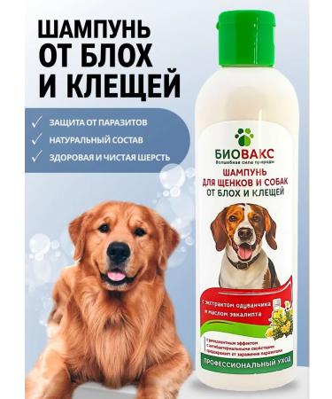 Biovax Bio shampoo from fleas and dogs for dogs 250 ml