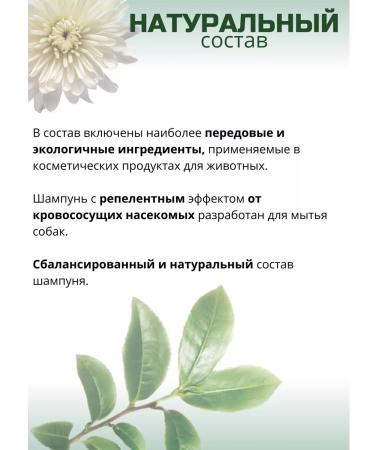 Biovax Bio shampoo from fleas and dogs for dogs 250 ml - Buy Online on GoSupps.com