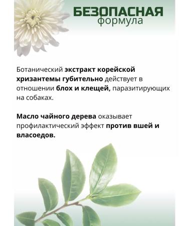 Biovax Bio shampoo from fleas and dogs for dogs 250 ml - Buy Online on GoSupps.com