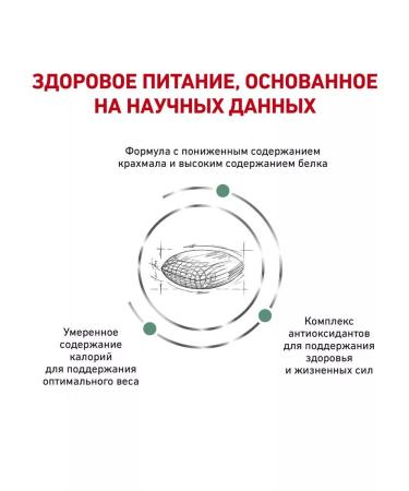 ROYAL CANIN Diabetic food for cats with diabetes 1.5 kg - Buy Online on GoSupps.com