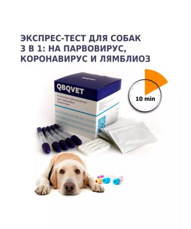 QBQVet Dog test for parvovirus coronavirus lambliosis