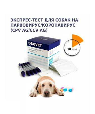 QBQVet Dog Parvovirus and Coronavirus Test (CPV AG CCV AG)