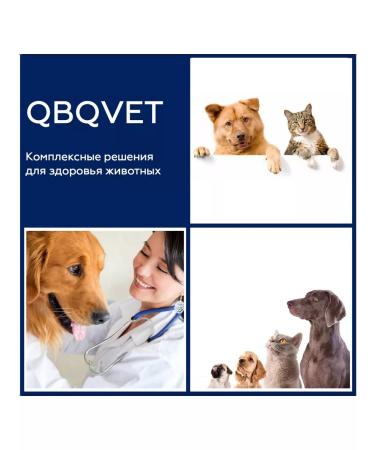 QBQVet Dog Parvovirus and Coronavirus Test (CPV AG CCV AG) - Buy Online on GoSupps.com