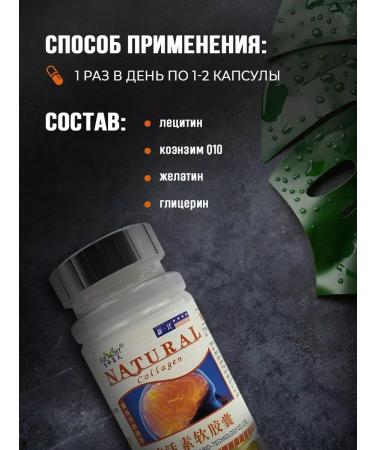 The Power of the East Capsules for the brain lecithin and coenzyme 100 pcs - Buy Online on GoSupps.com