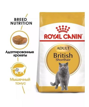 ROYAL CANIN Adult British cats British Shorthair 4 kg - Buy Online on GoSupps.com