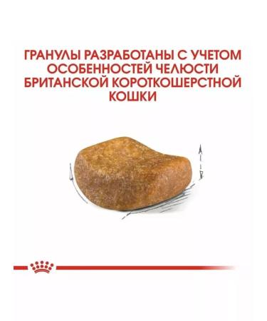 ROYAL CANIN Adult British cats British Shorthair 4 kg - Buy Online on GoSupps.com