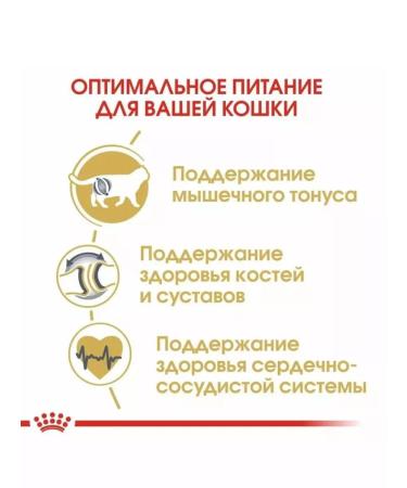 ROYAL CANIN Adult British cats British Shorthair 4 kg - Buy Online on GoSupps.com