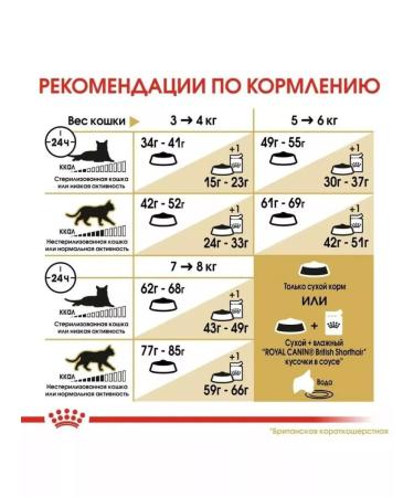 ROYAL CANIN Adult British cats British Shorthair 4 kg - Buy Online on GoSupps.com