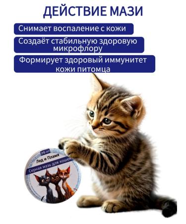 Ice and Fire Sulfuric ointment for cats and kittens - Buy Online on GoSupps.com