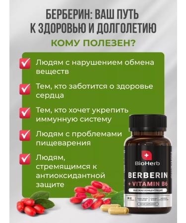 BioHerb Berberin capsule for weight loss 60 capsules - Buy Online on GoSupps.com