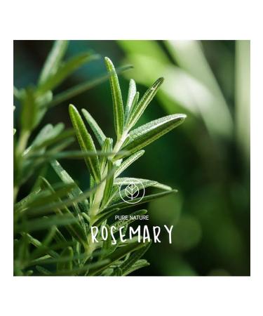 Piroche Cosmetiques Restoring balm 75 ml - Buy Online on GoSupps.com