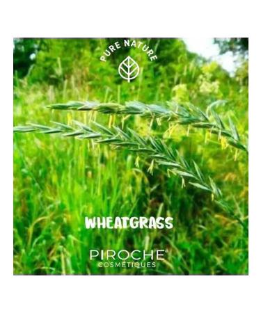 Piroche Cosmetiques Anti -cellulite drainage and strengthening cream 250 ml - Buy Online on GoSupps.com