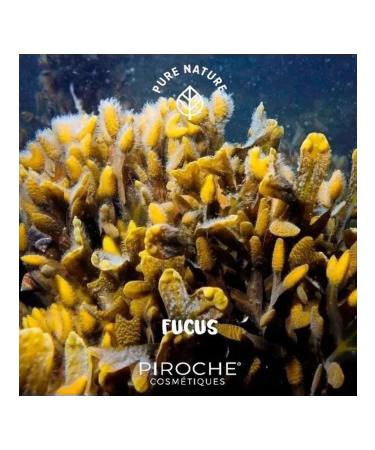 Piroche Cosmetiques Anti -cellulite drainage and strengthening cream 250 ml - Buy Online on GoSupps.com