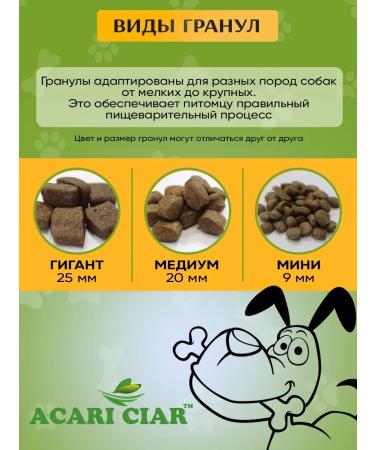 Acari Ciar Dry food for dogs regular 6.5 kg mini gran - Buy Online on GoSupps.com