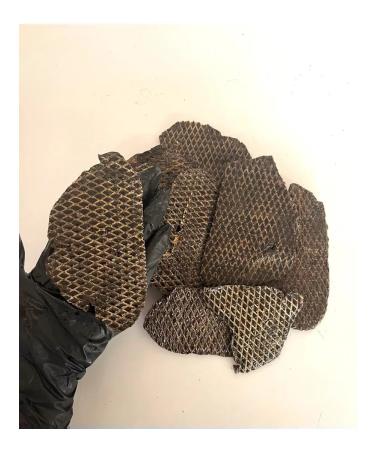 Pet Dog Izh Dried beef liver 1 kg - Buy Online on GoSupps.com