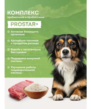 Sirius feed for adult dogs of small beefs with beef 2kg - Buy Online on GoSupps.com