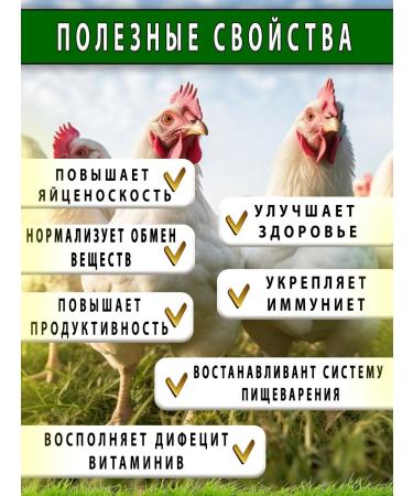 skhzh Chictonik 2 pcs 200ml vitamins for animals and poultry kor peep - Buy Online on GoSupps.com