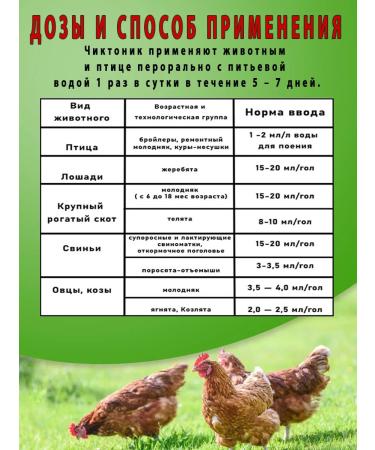 skhzh Chiktonik 300ml vitamins for animals and poultry Cor booty - Buy Online on GoSupps.com