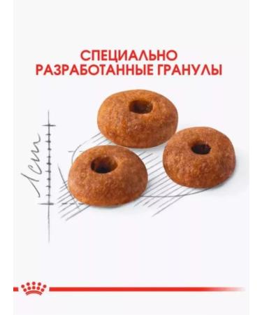 ROYAL CANIN Dry FIT-32 food for adult cats extending to the street 4KG - Buy Online on GoSupps.com