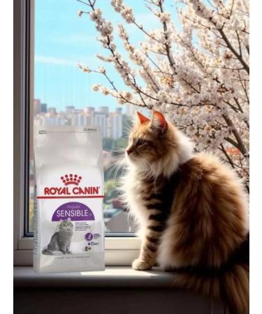 ROYAL CANIN Sensible food for cats sensitive digestion 1.2 kg - Buy Online on GoSupps.com