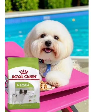 ROYAL CANIN Dry food X-Small Adult for adult miniature dogs1.5kg - Buy Online on GoSupps.com