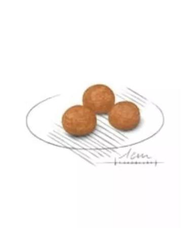 ROYAL CANIN Dry food X-Small Adult for adult miniature dogs1.5kg - Buy Online on GoSupps.com