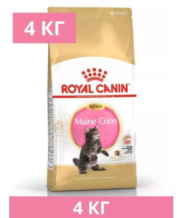 ROYAL CANIN Dry food Main Coon Kitten for kittens of the Maine Kun breeds 4kg
