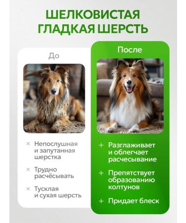 SEPTIVIT Shampoo for dogs from fleas and ticks Pets 1 liter - Buy Online on GoSupps.com