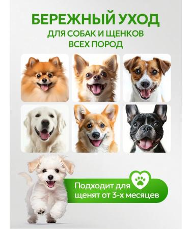 SEPTIVIT Shampoo for dogs from fleas and ticks Pets 1 liter - Buy Online on GoSupps.com