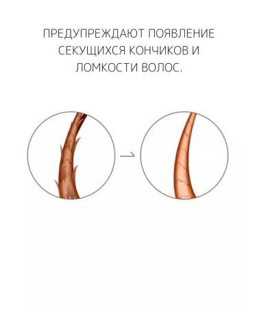 MISSHA Corea damaged shampoo 400ml - Buy Online on GoSupps.com